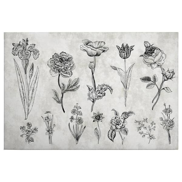 

Фреска A.S. Création Sketchpad Floral цвет grau/schwarz
