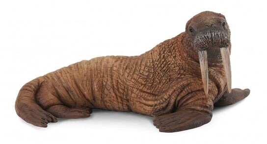 

Collecta, Коллекционная фигурка, Морж, размер L