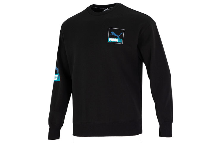 

Мужская толстовка Puma, цвет Black