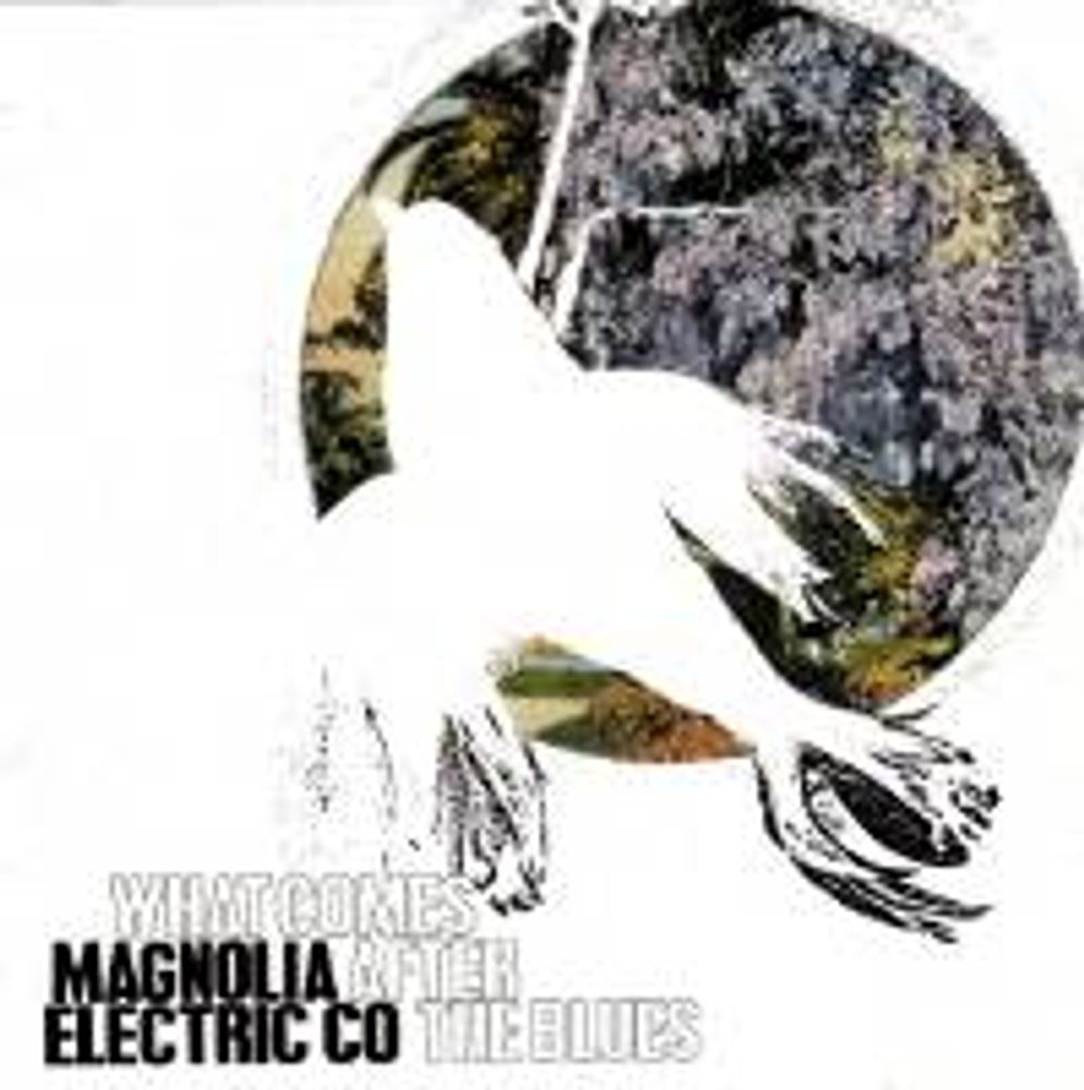 

Диск CD What Comes After The Blues - Magnolia Electric Co.