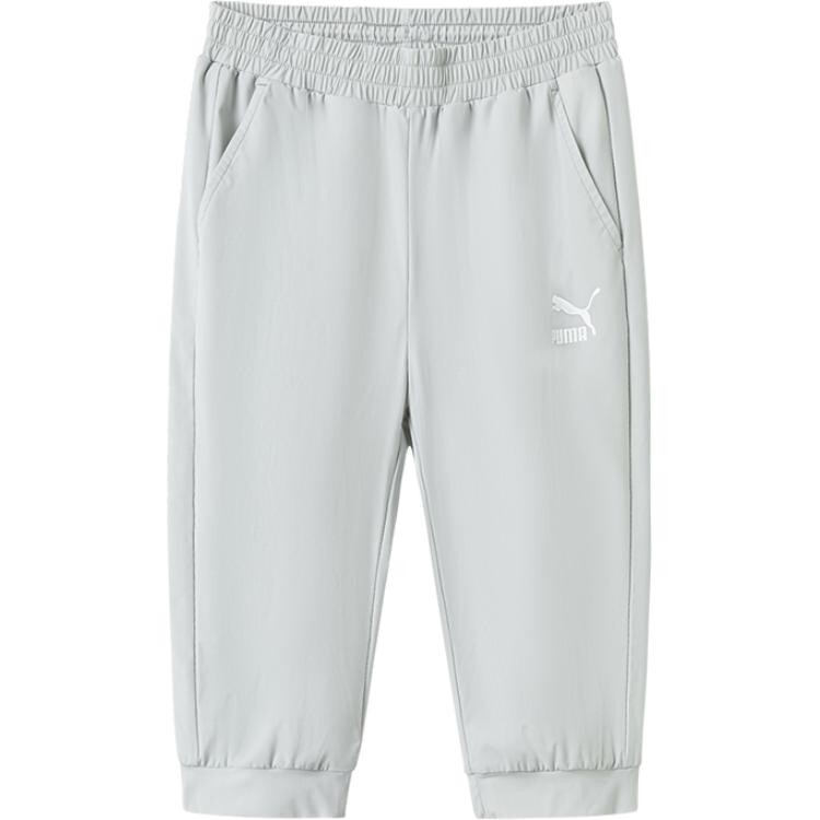 

GS Брюки Puma, цвет Morning ash