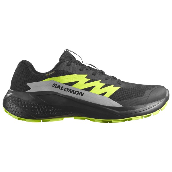 

Alphaglide gore-tex - кроссовки для бега по пересеченной местности Salomon, мультиколор