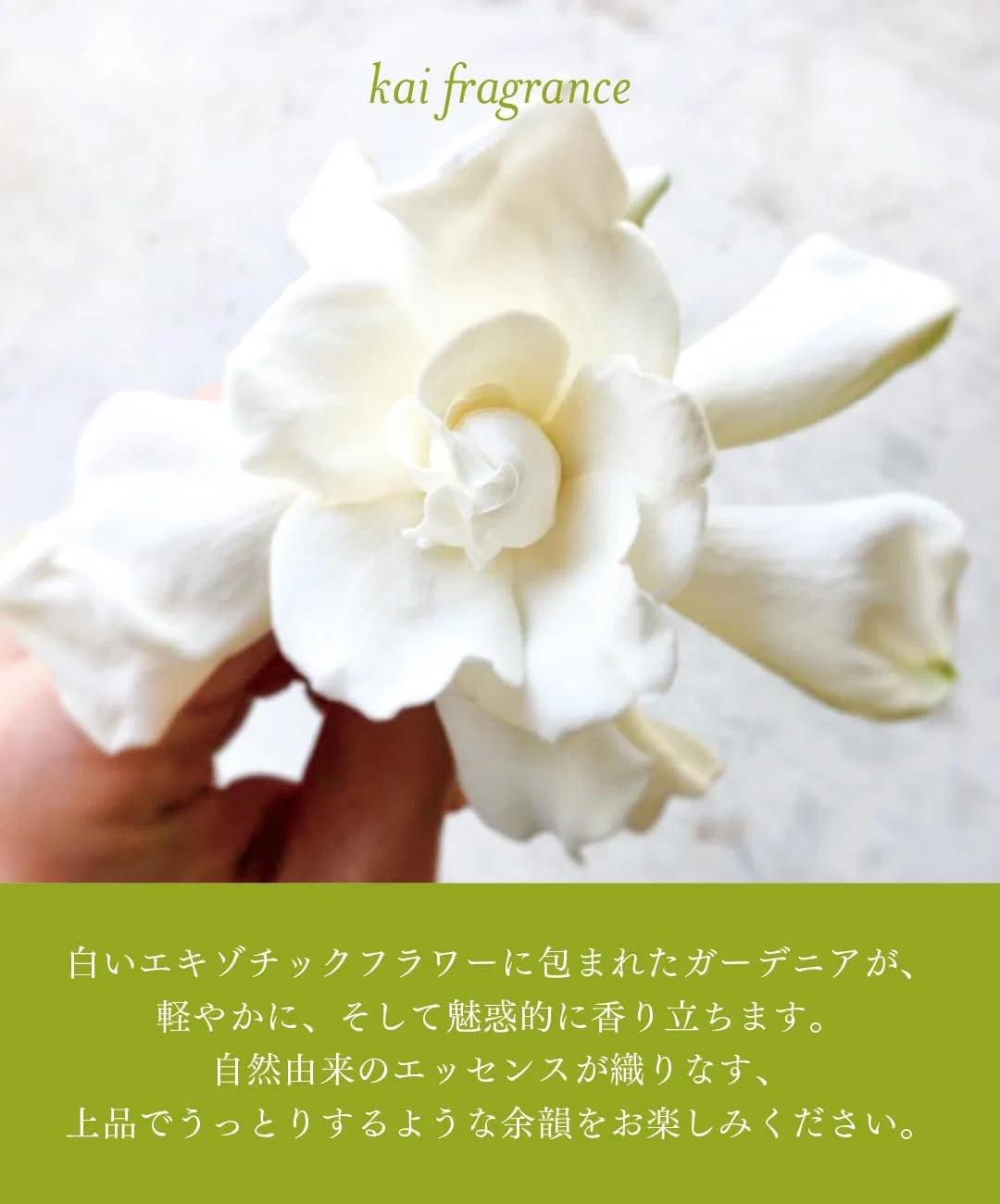 Лосьон для тела Rose Kai Fragrance, 8.1 fl oz — фото 4