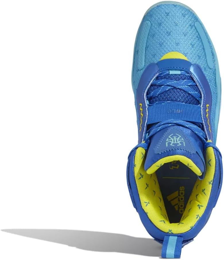 Мужские походные кроссовки adidas Terrex Skychaser Lt Gtx, синий/желтый — фото 4