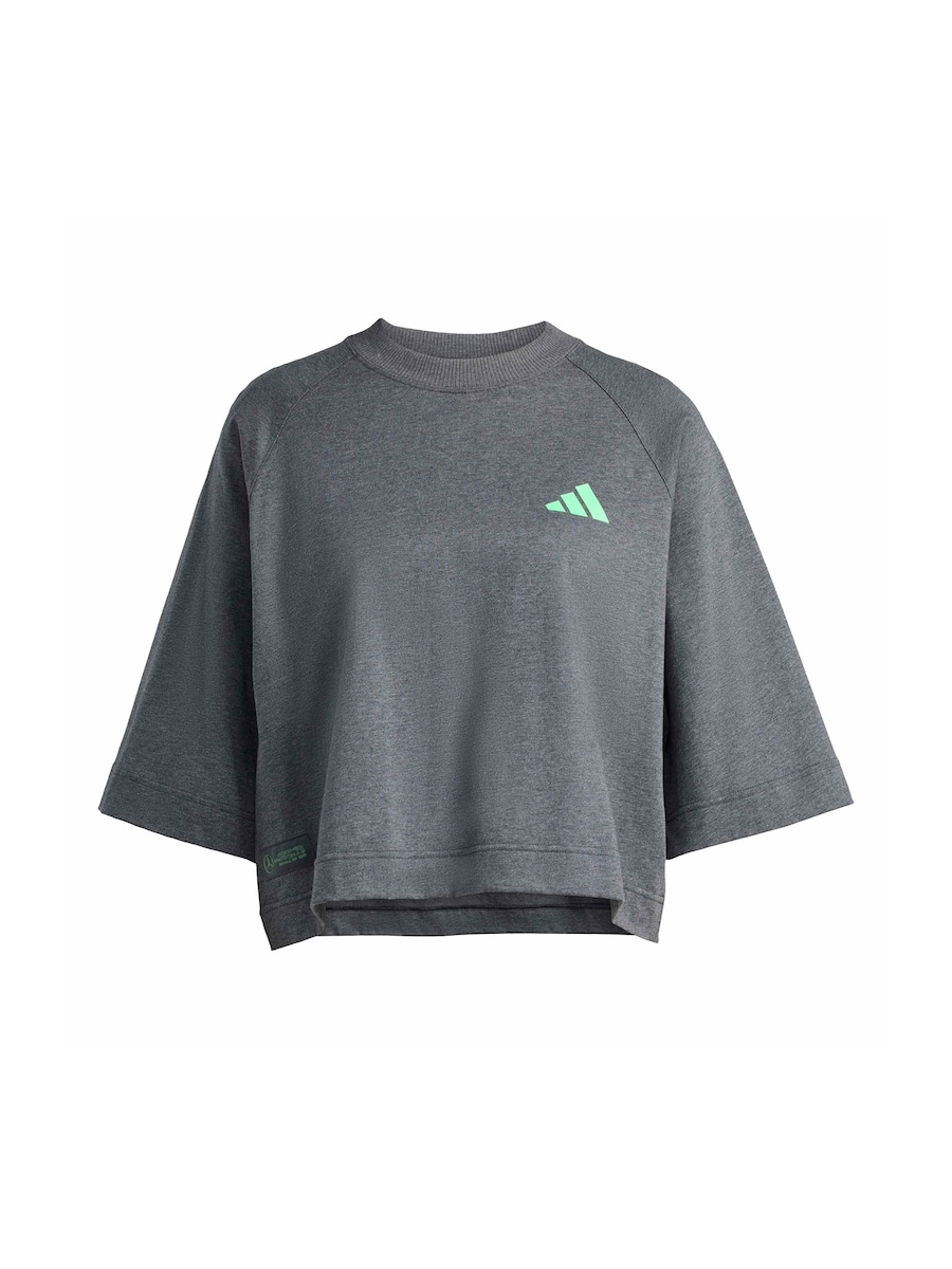 

Футболка Performance ADIDAS PERFORMANCE Mercedes - AMG Petronas Formula One Team, серый