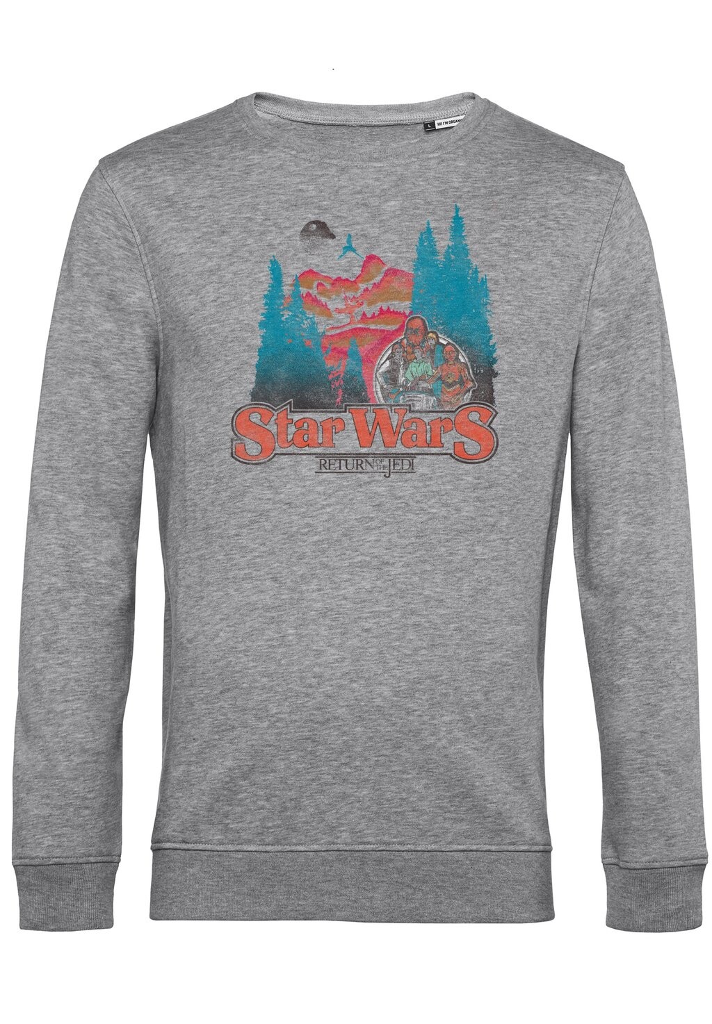 

Толстовка STAR WARS: CLASSIC FOREST MOON TITLE Star Wars, цвет Mottled Light Grey
