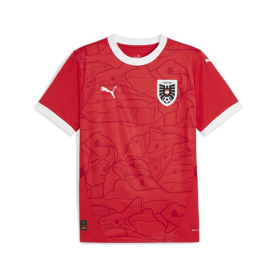 

Джерси PUMA Jersey Österreich 2024, цвет Red/Wine red