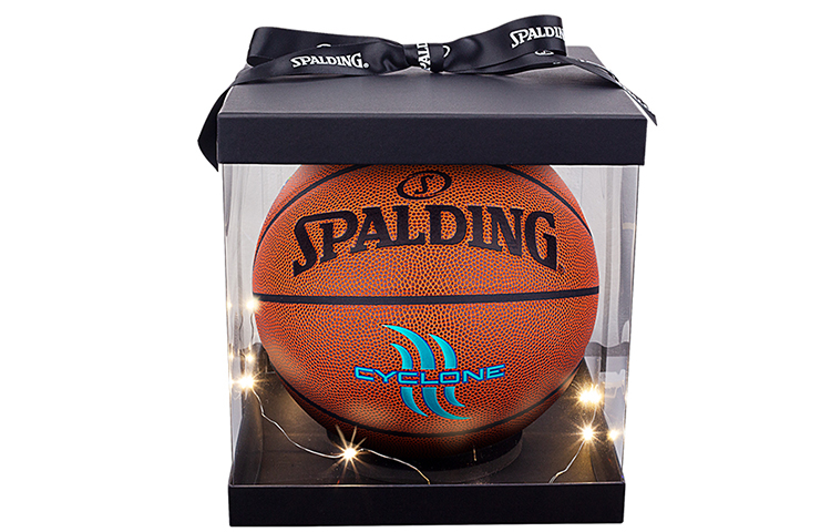 

SPALDING Баскетбольный мяч серии introductory pu коричневый с синим текстом размер 7 тренировочный unisex