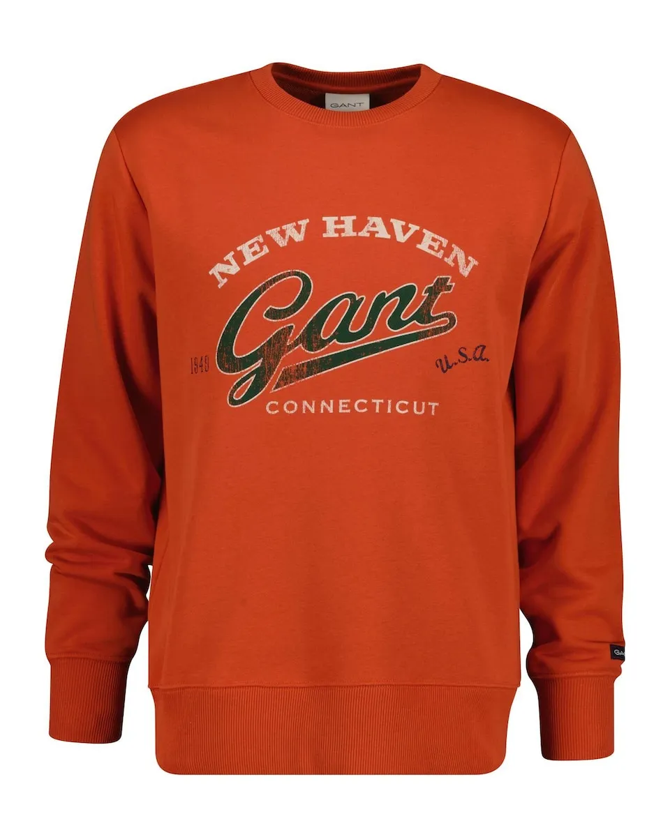

Мужская толстовка с круглым вырезом и принтом на груди Gant, оранжевый