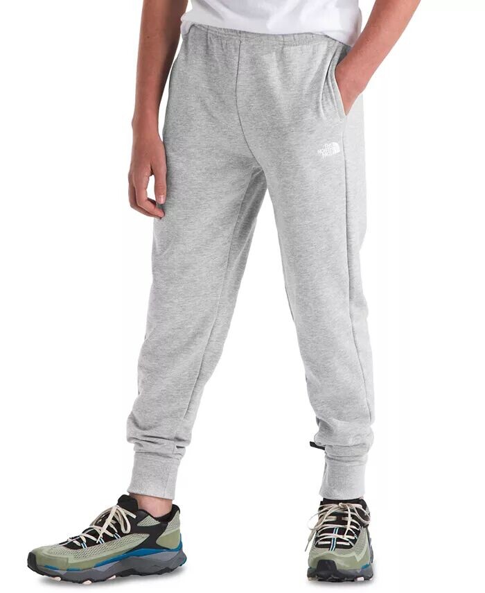 

Флисовые джоггеры Big Kids Camp The North Face, серый