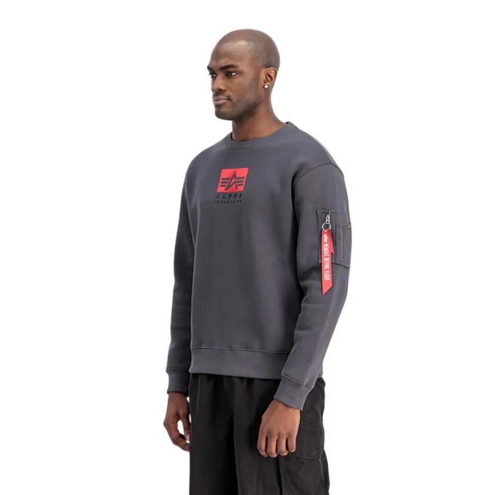 

Толстовка Alpha Industries Satin Logo, серый