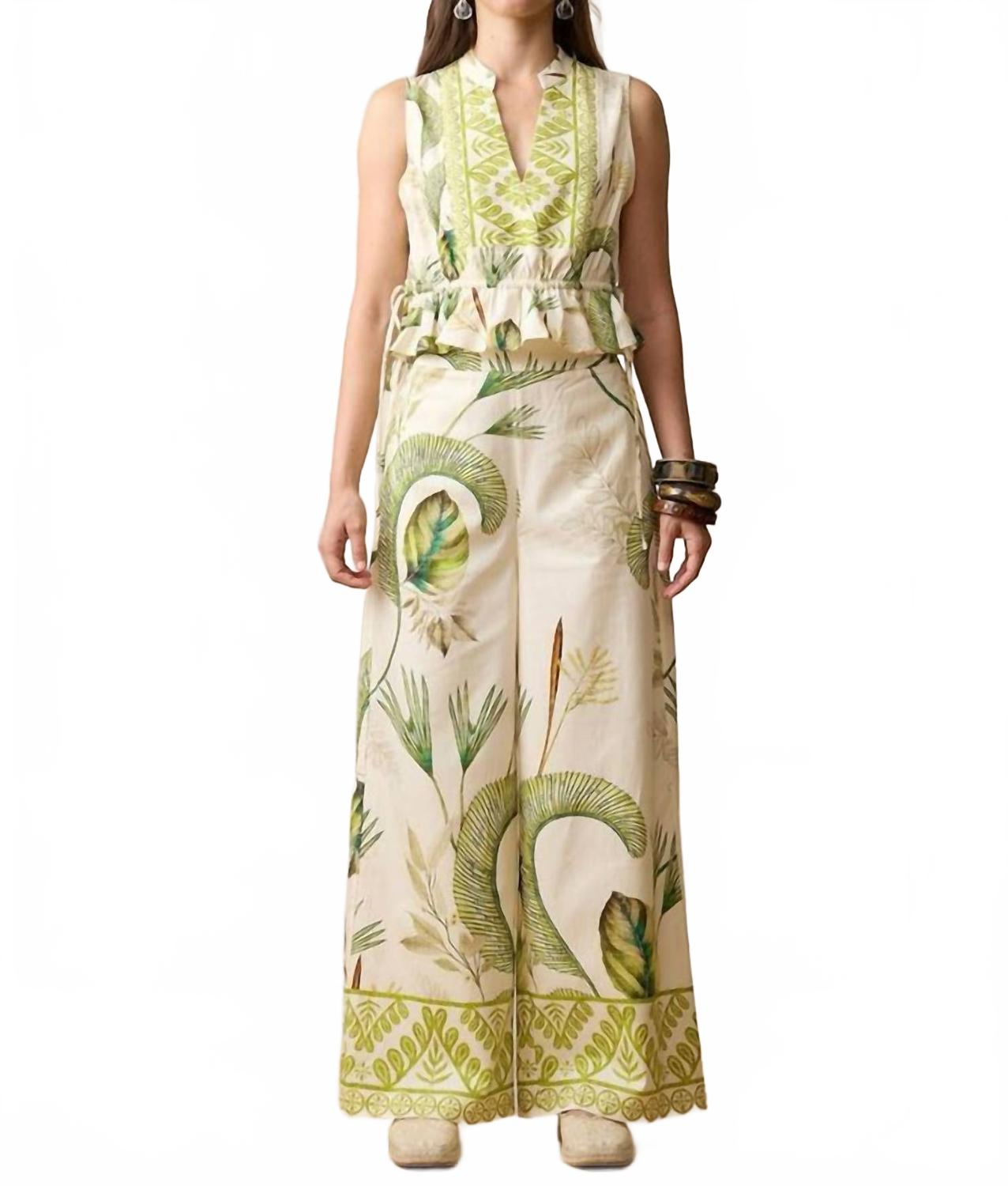 

Топ Кюрасао в пальмовом лесу Aylaya, Palm Forest