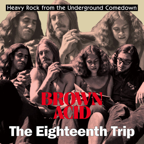 

Виниловая пластинка Brown Acid - the Eighteenth Trip / Various: Brown Acid - The Eighteenth Trip (Various Artists)