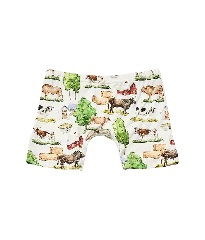 Боксеры набор из 3 Print Boxer Brief Set Kickee Pants Kids, Denim Stripe/Denim/Dove Dino Museum — фото 2