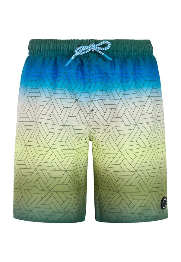 Плавки Protest prtchopper swimming shorts, тимьян