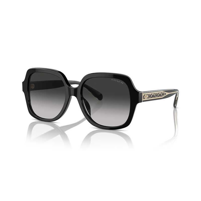

COACH Логотип на табличке Оправа оверсайз Солнечные очки, Bright Black