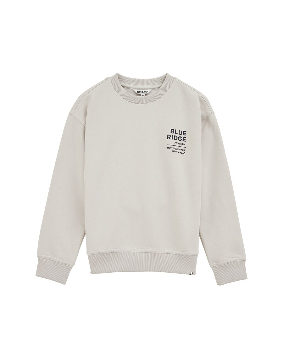 

Толстовка WE Fashion, Light grey