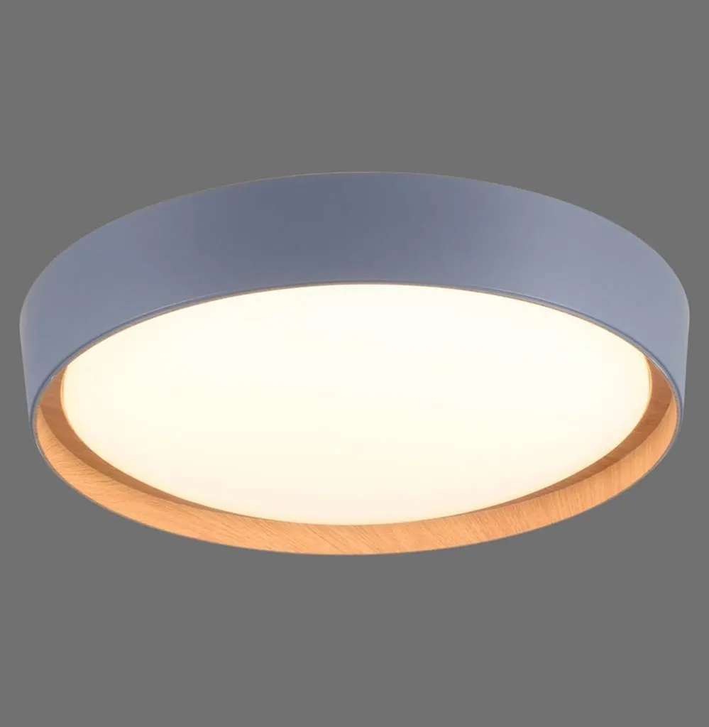 

Потолочный светодиодный светильник JUST LIGHT