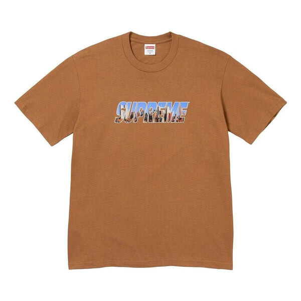 

Футболка gotham t-shirt 'brown teal' Supreme, коричневый
