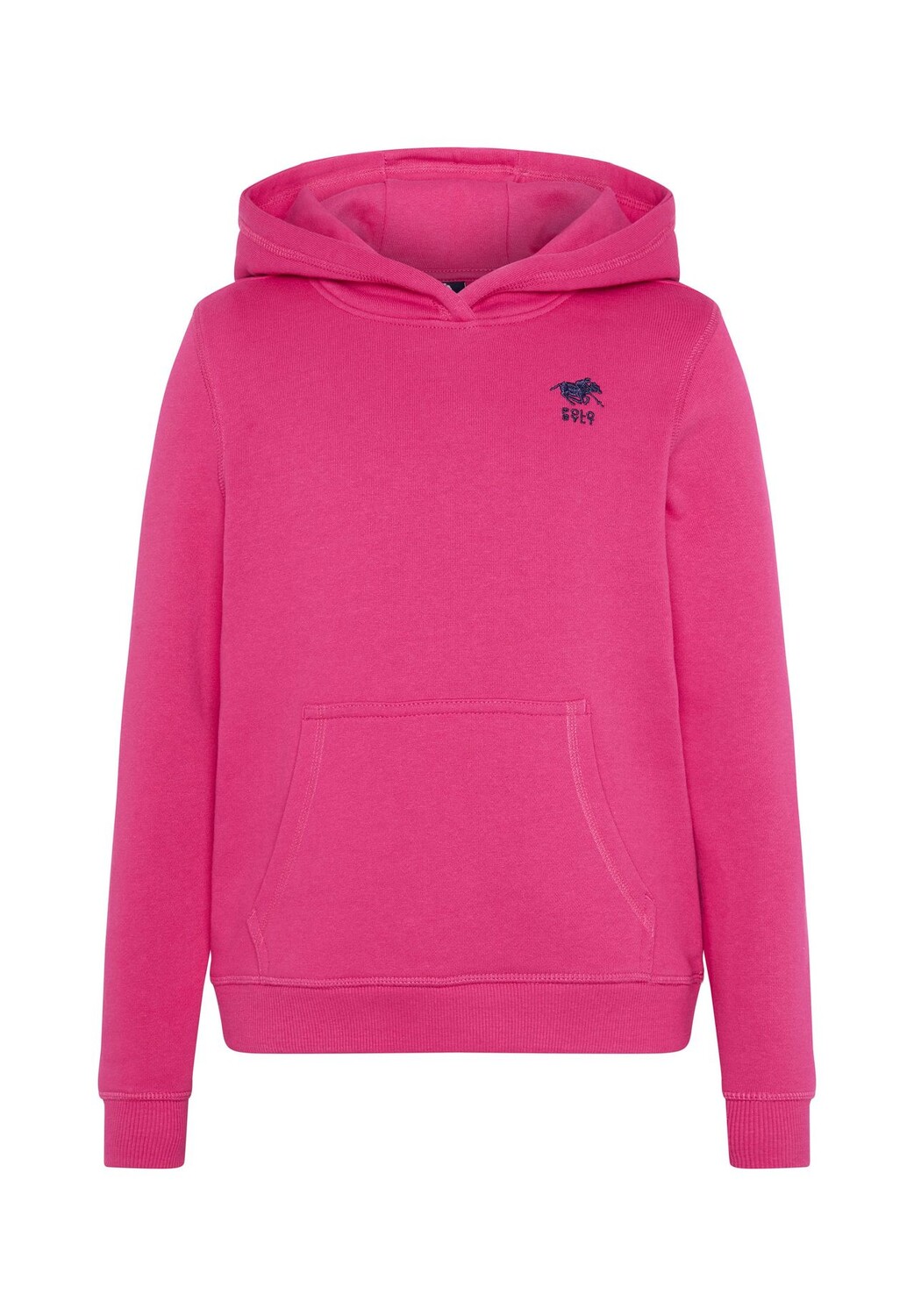 

Толстовка с вышивкой этикеток POLO SYLT, цвет 18-1754 Raspberry