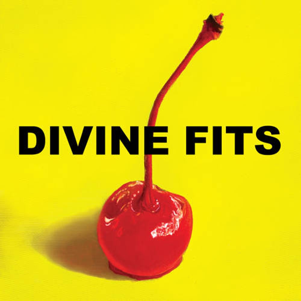 

Диск CD A Thing Called Divine Fits - Divine Fits