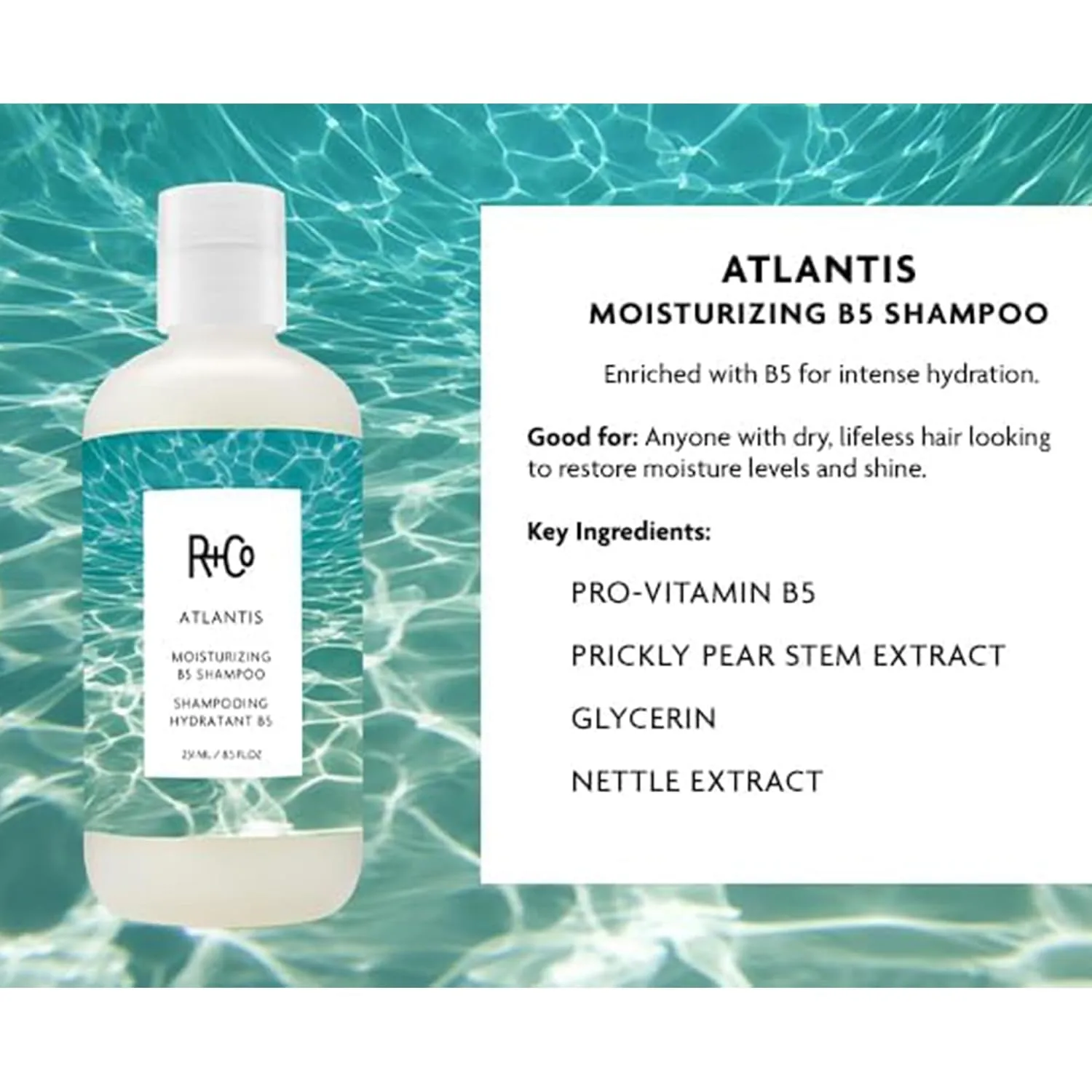 Увлажняющий шампунь R+Co ATLANTIS с витамином B5 - увлажняет и укрепляет, смягчает и разглаживает волосы, подходит для всех типов волос. 251 мл (.) — фото 2