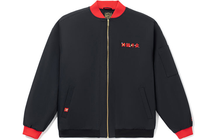 

Стеганая куртка Sports Life Collection для мужчин, черная Lining, черный