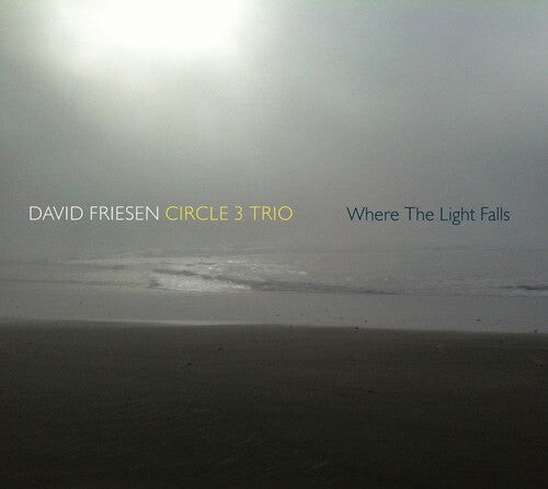 

CD диск Friesen, David / Circle 3 Trio: Where the Light Falls