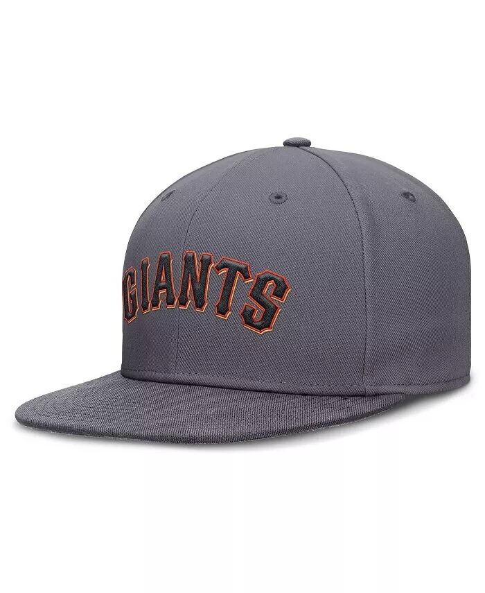 

Мужская серая бейсболка San Francisco Giants Performance True Fitted Nike