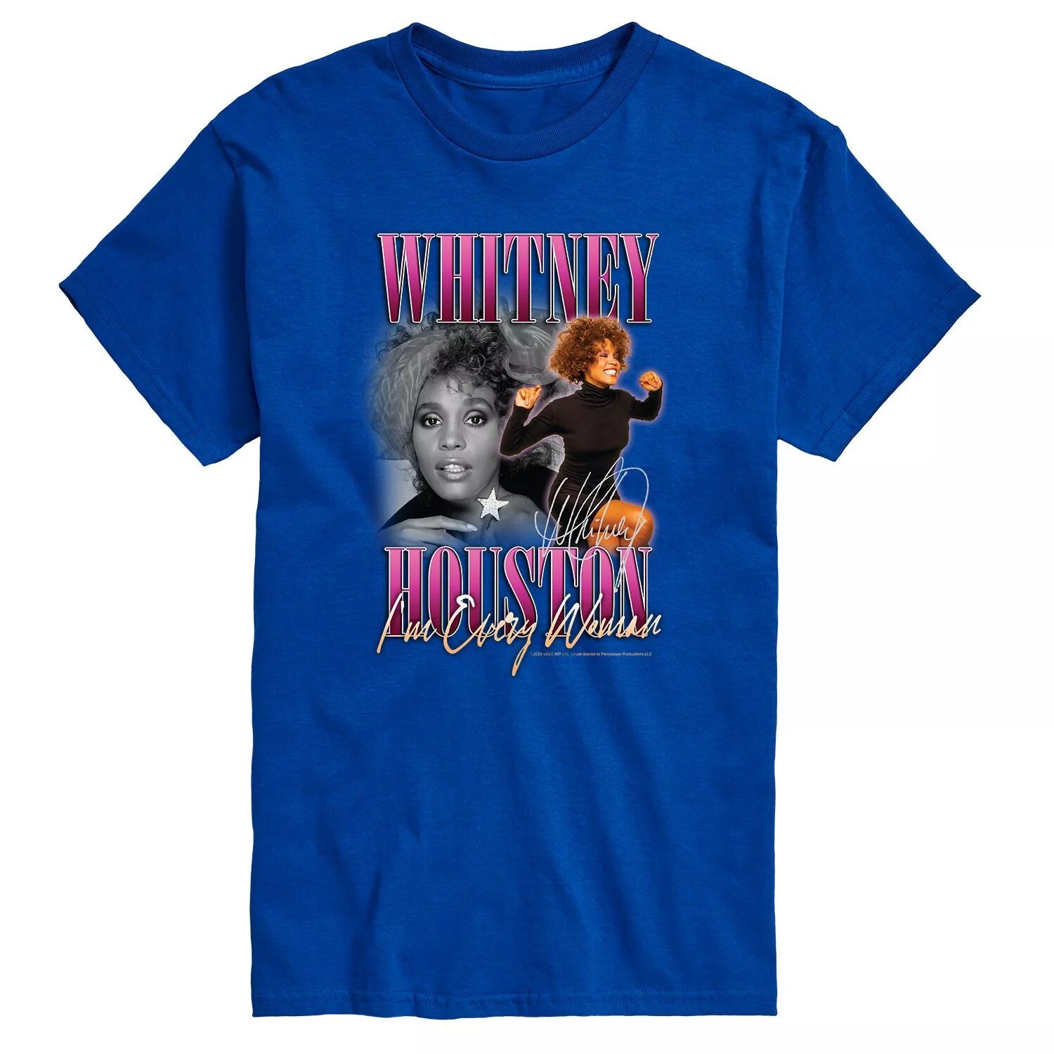 

Мужская футболка Whitney Houston Every Woman Licensed Character