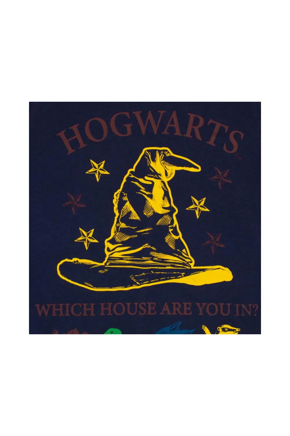 Пижама Harry Potter с принтами факультетов Хогвартса, мультиколор — фото 3