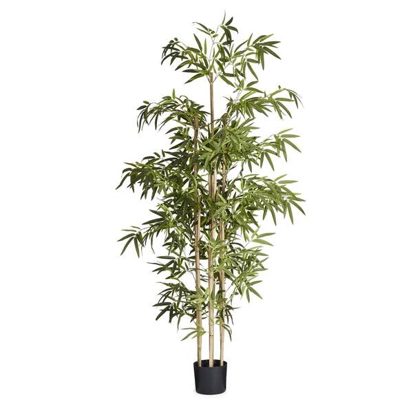 

Декоративное растение IBBE DESIGN Bambus 190 cm, зеленый