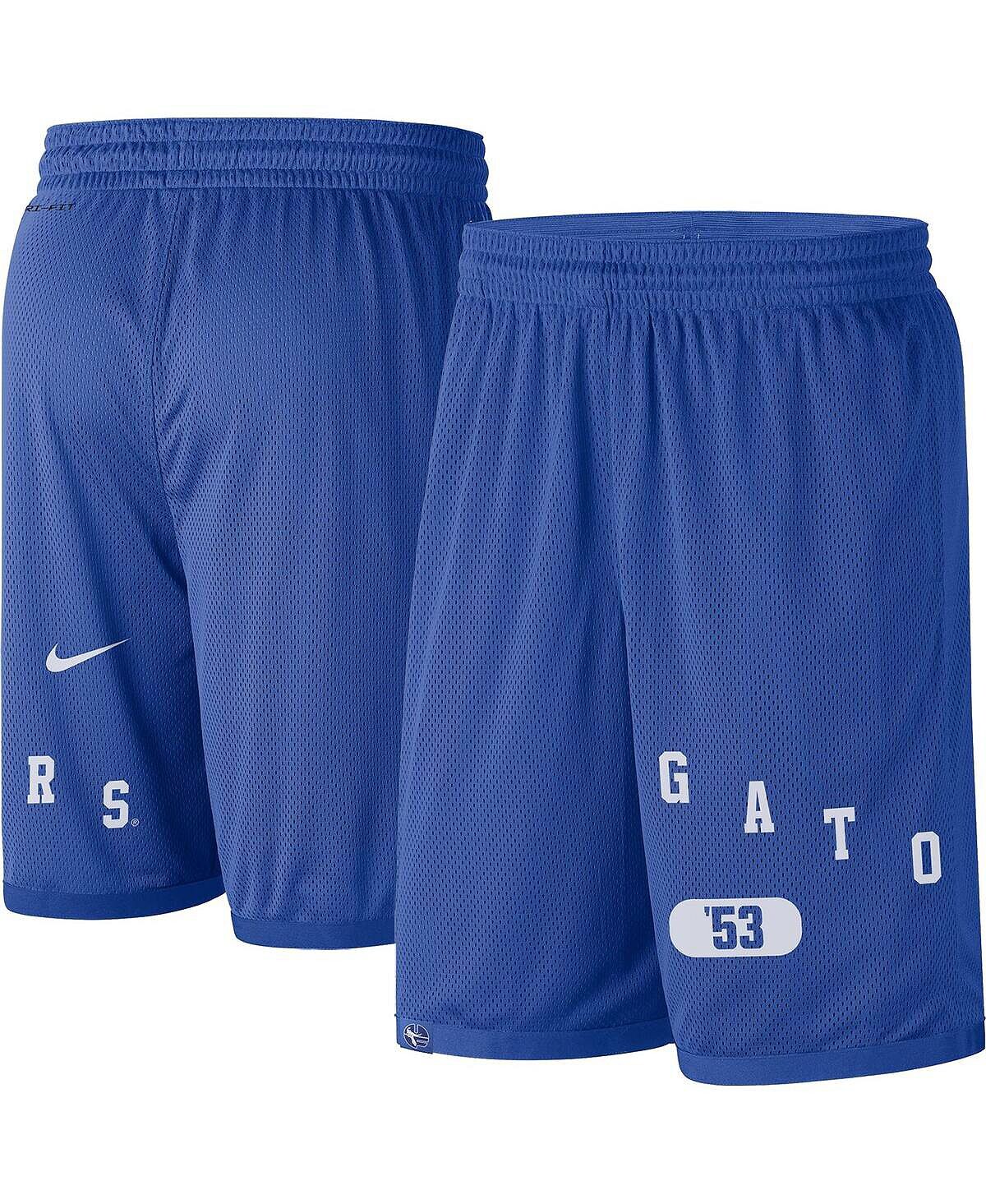 Мужские шорты Royal Florida Gators с надписью Performance Nike