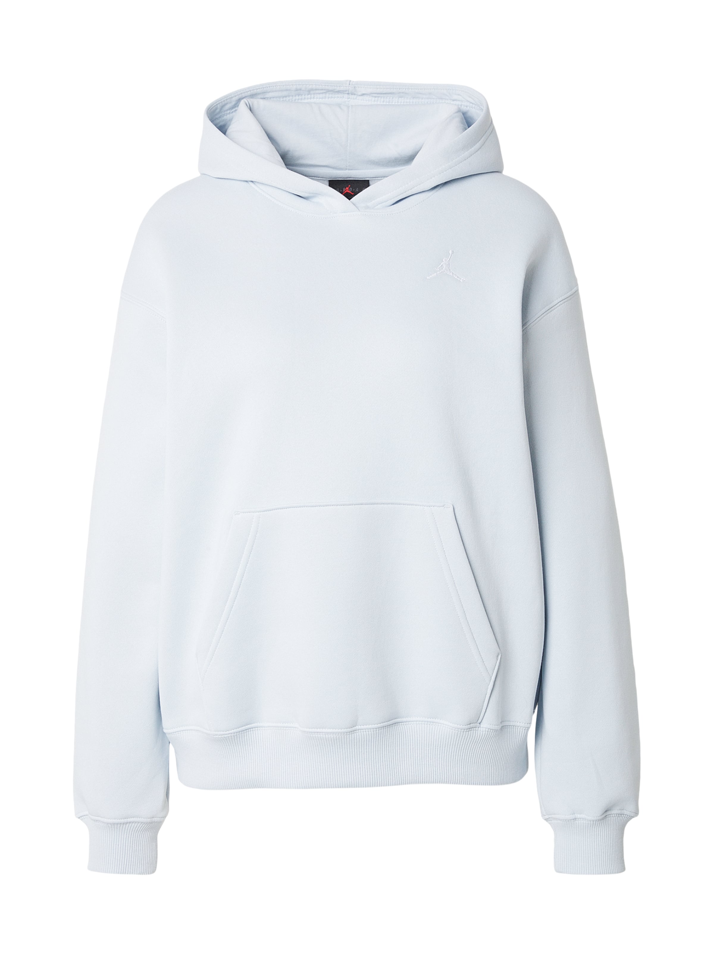 

Jordan Толстовка 'BRKLN FLC' в пастельно-голубом цвете, Синий, Jordan Толстовка 'BRKLN FLC' в пастельно-голубом цвете