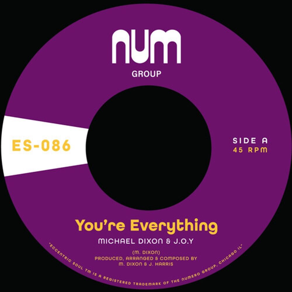 

Виниловая пластинка LP You're Everything / You're All I Need [Purple Vinyl] (7") - Michael A. Dixon & J.O.Y.