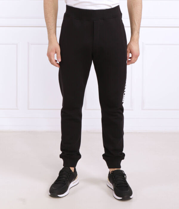 

Штаны спортивные Just Cavalli Regular Fit, черный