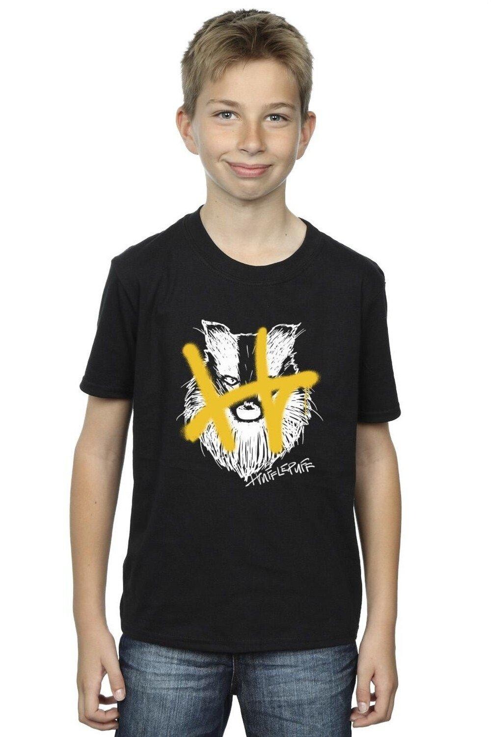 

Футболка Hufflepuff Pop Spray Harry Potter, черный