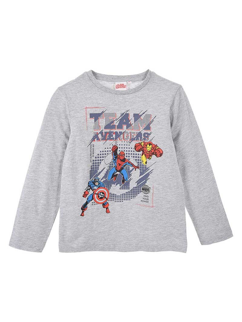 

Блуза Kids Movie Heroes AVENGERS C, серый
