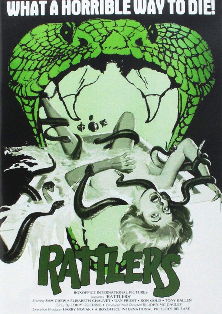 

Диск DVD Rattlers