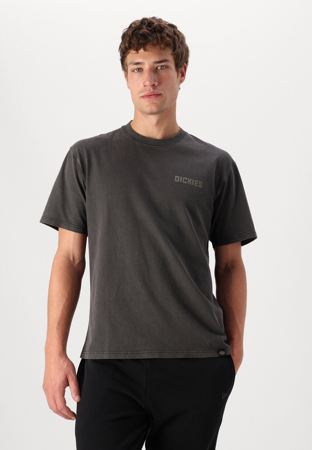 

Футболка с принтом HIGH FLYING WORKWEAR TEE Dickies, черный