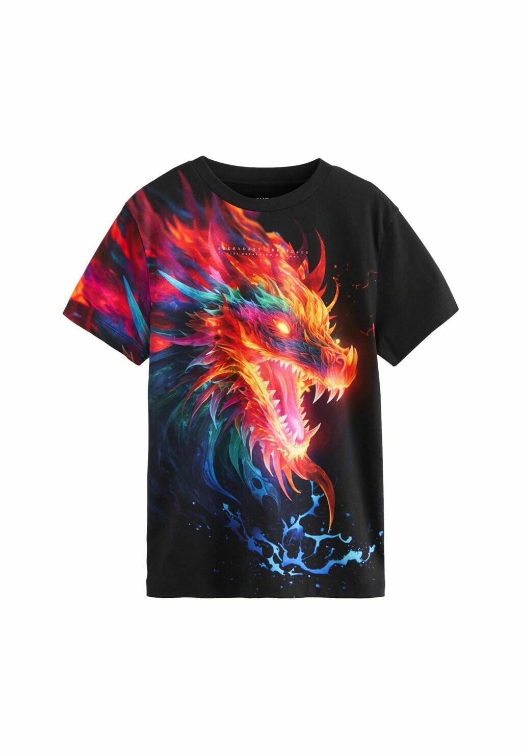 

Футболка с принтом SHORT SLEEVE STANDARD Next, цвет black dragon