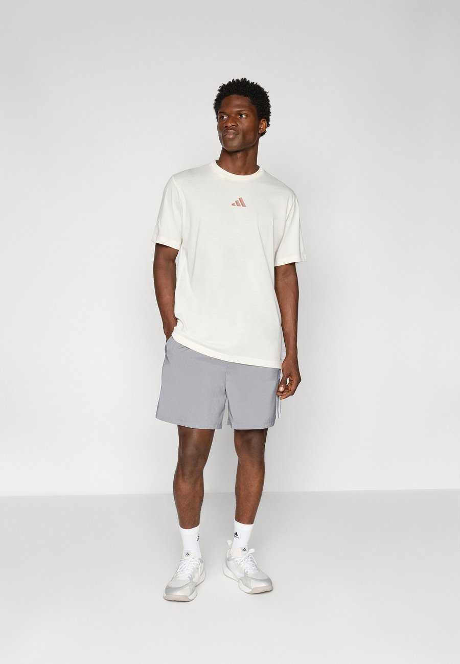 Спортивные шорты Adidas Sportswear CHELSEA, Grey Three/White/Grey — фото 2