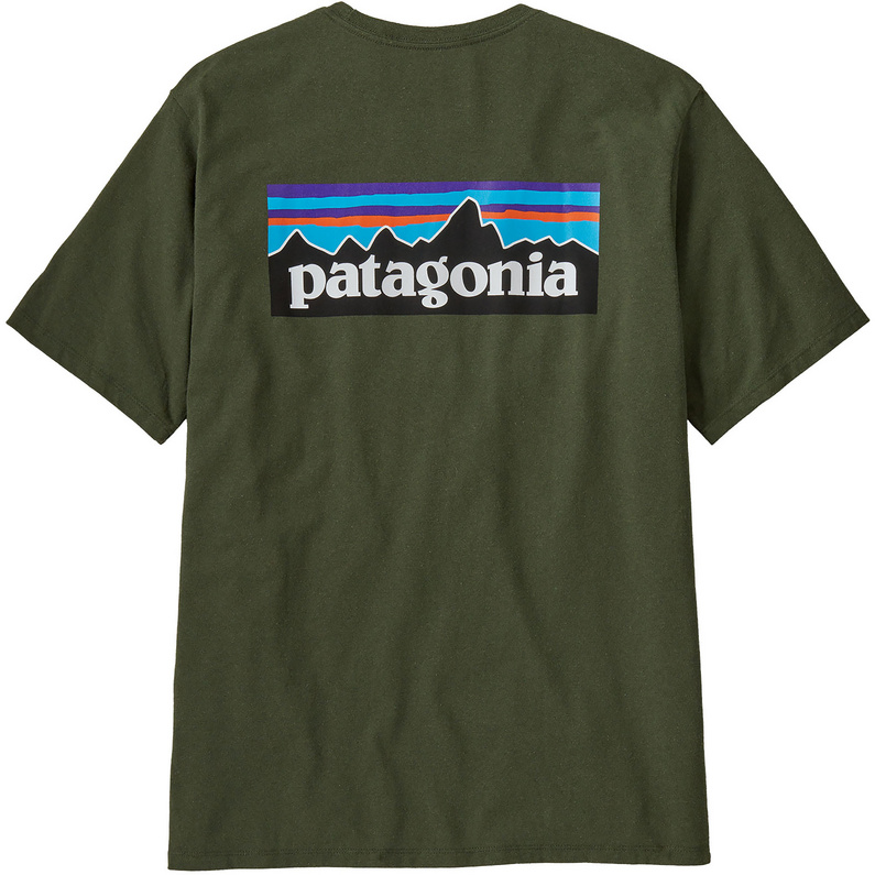 

Мужская футболка P-6 с логотипом Responsibili Patagonia, зеленый