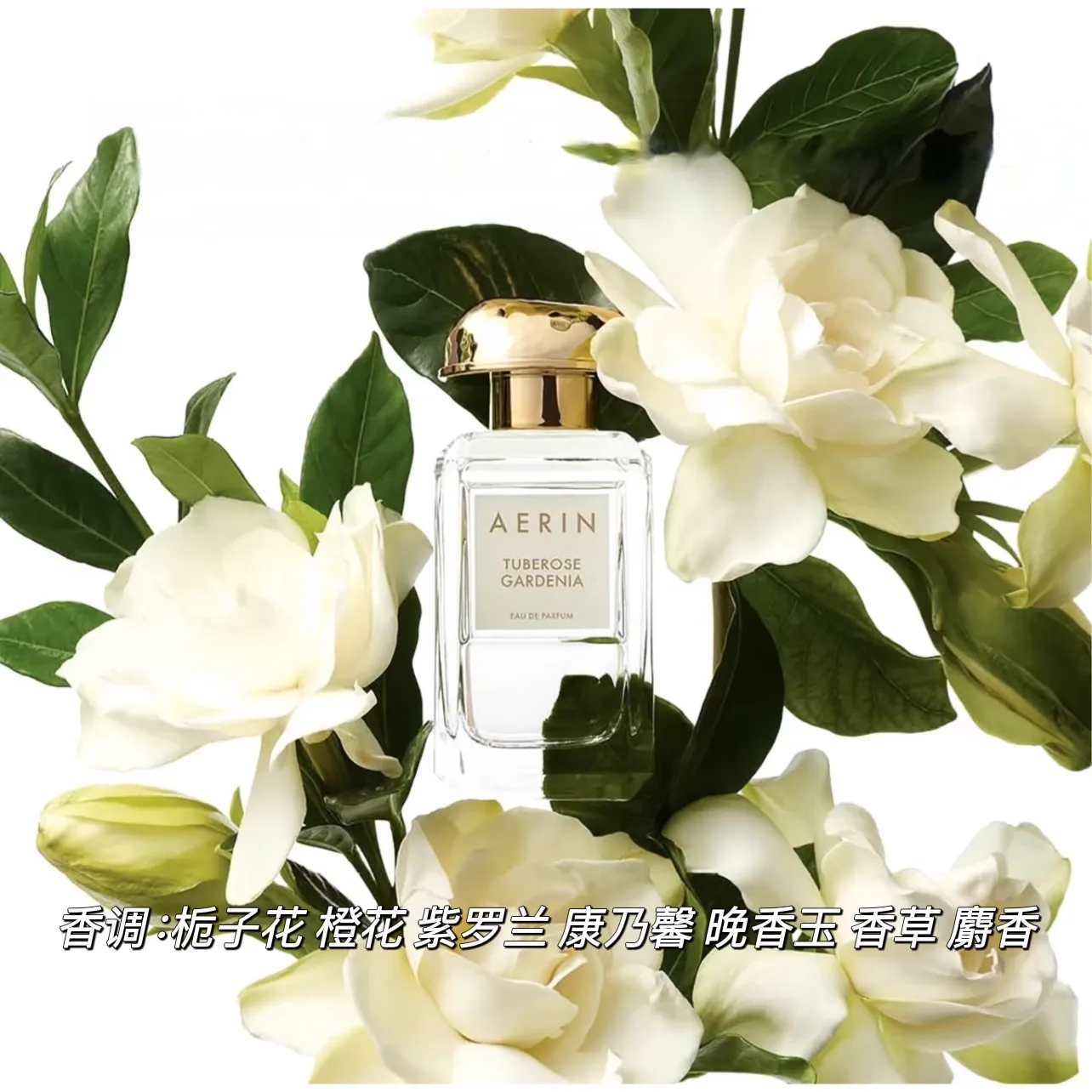 AERIN Туалетная вода с ароматом туберозы, гардении, гвоздики и ванили, 50 мл, 50ml — фото 4