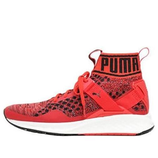 

Спортивные кроссовки PUMA Ignite EvoKnit 'Red', красный