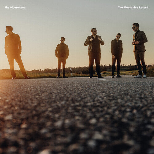 

Виниловая пластинка Bluesanovas: The Moonshine Record