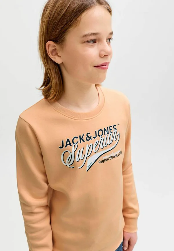 Толстовка jjelogo с круглым вырезом, двухцветная, весна-лето 2026 Jack & Jones Junior, Beach Sand — фото 4