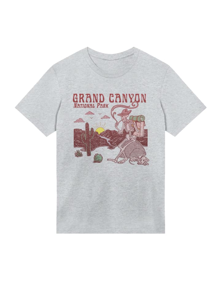 

Футболка с изображением Национальных парков США Гранд-Каньон в сером пестром цвете F4NT4STIC