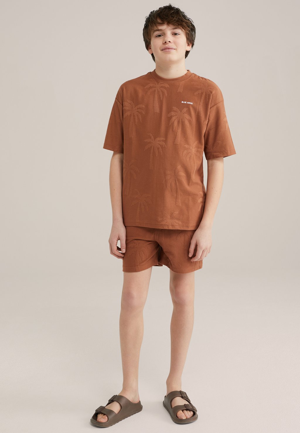 

Футболка с принтом BLUE RIDGE WE Fashion, цвет Cinnamon Brown
