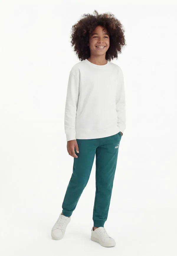 Спортивные штаны с логотипом Puma, Emerald Ice